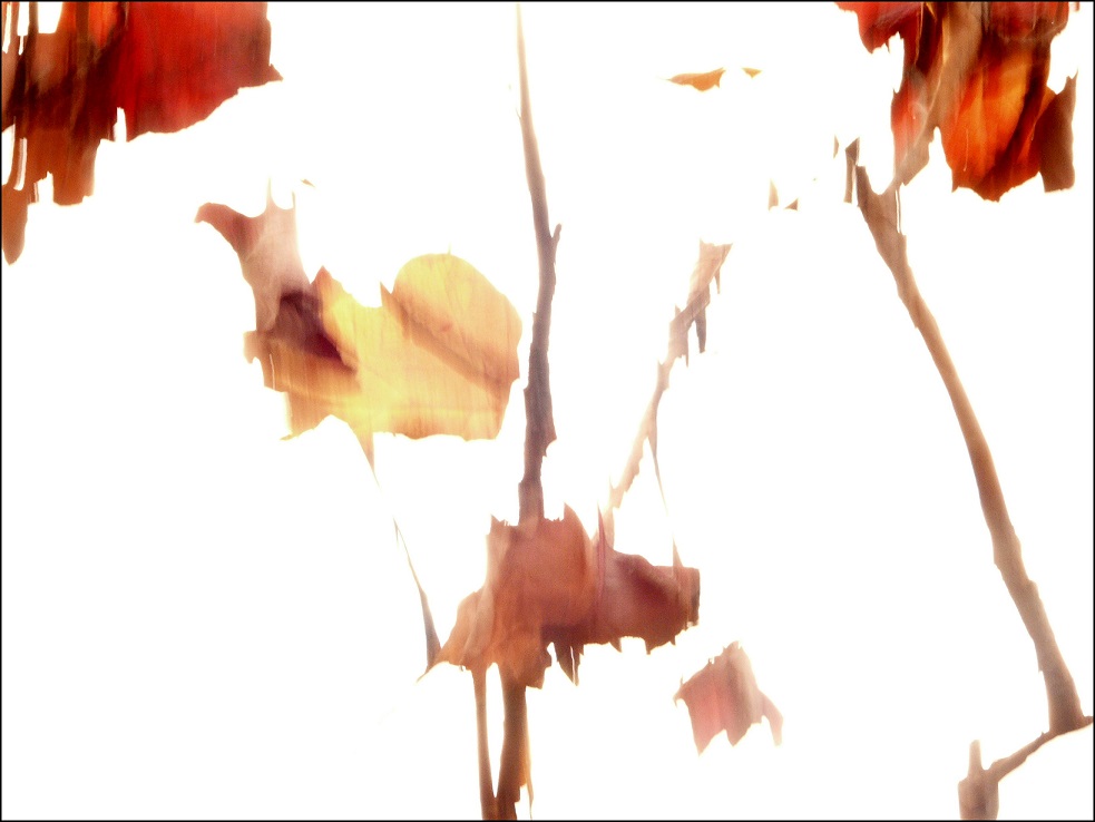 l1920108_conew1.jpg