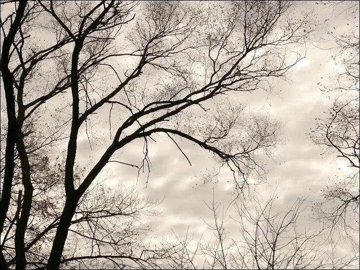 l1920126_conew1.jpg