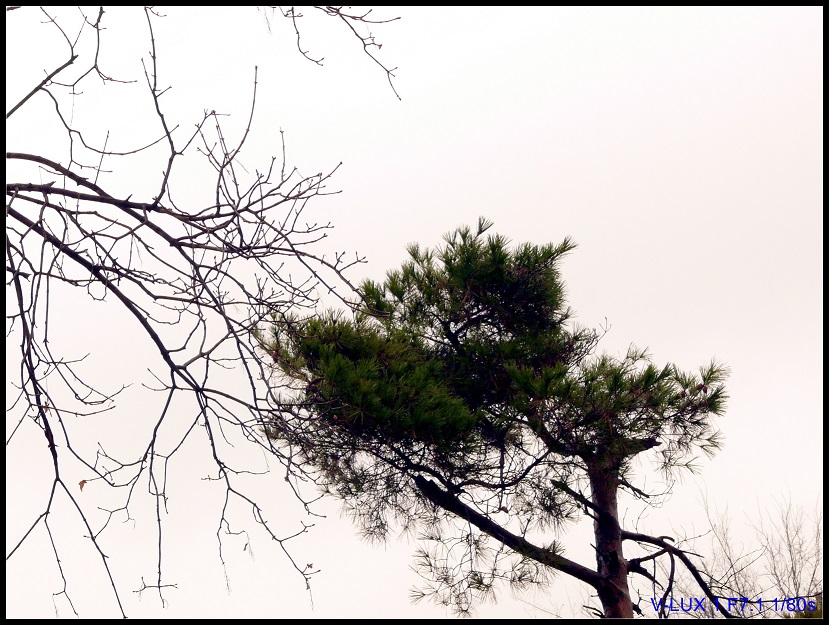 l1920897_conew1.jpg