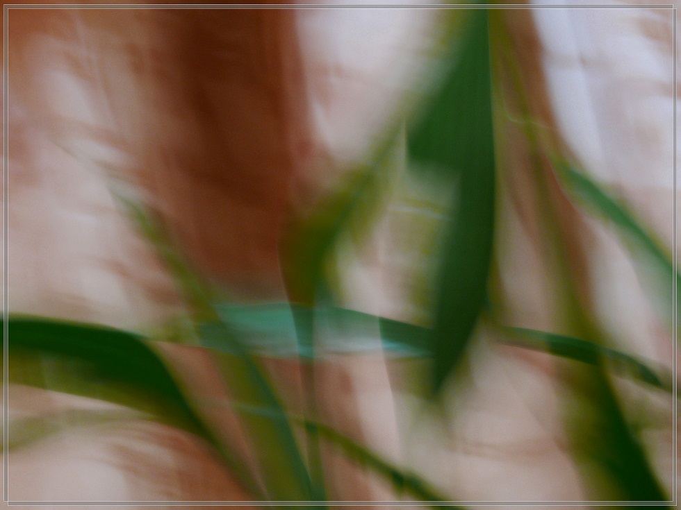 l1890755_conew2.jpg