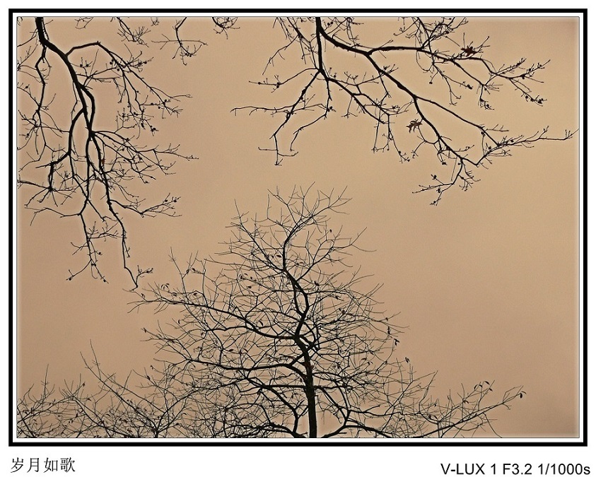 l1920926_conew2.jpg
