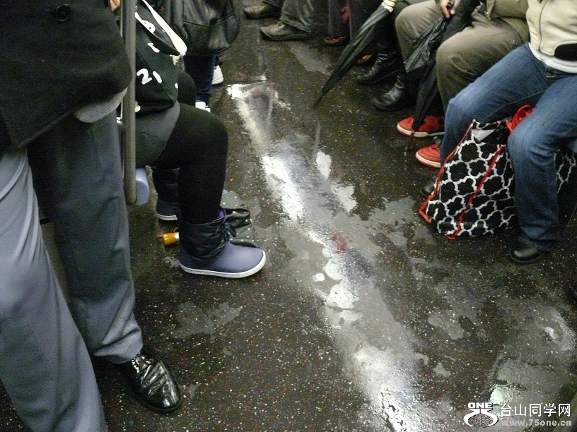 L1980398.JPG