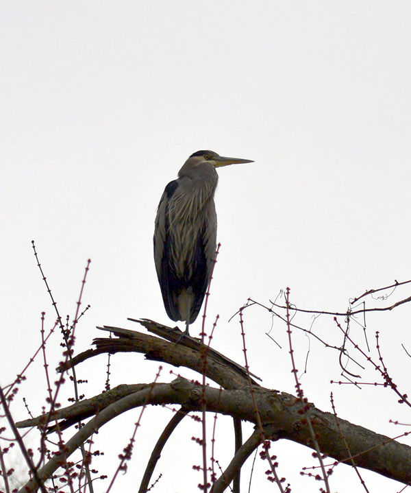 DSC_6766.jpg