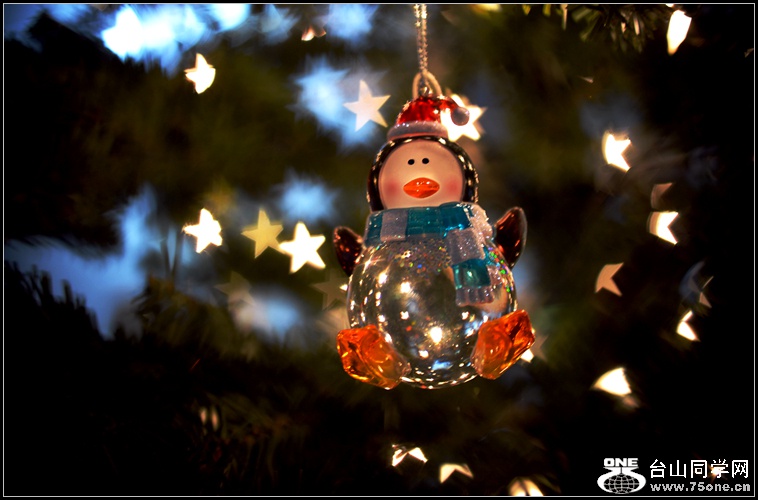 DSC_2617.jpg