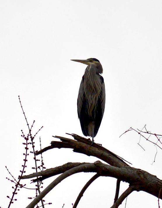 DSC_6776.jpg