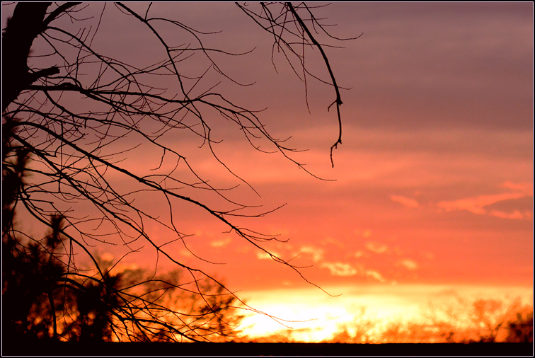 DSC_6367.jpg