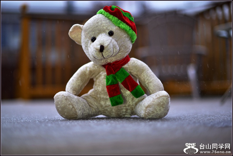 DSC_1707.jpg
