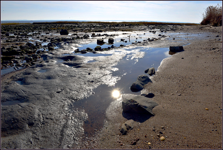 DSC_1944.jpg