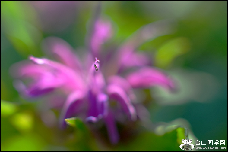 DSC_4325.jpg