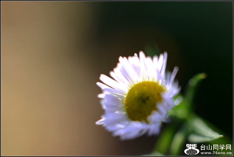 DSC_4329.jpg