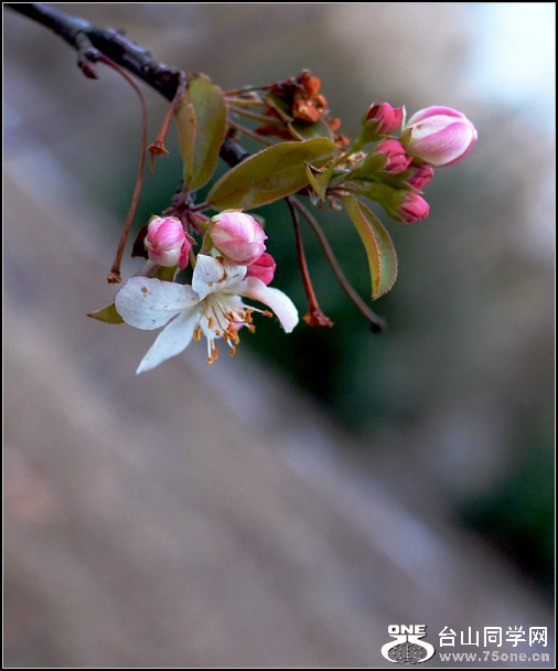 DSC_7024_1.jpg