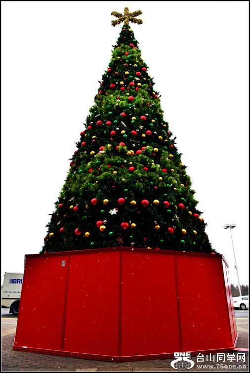 DSC_2266.jpg