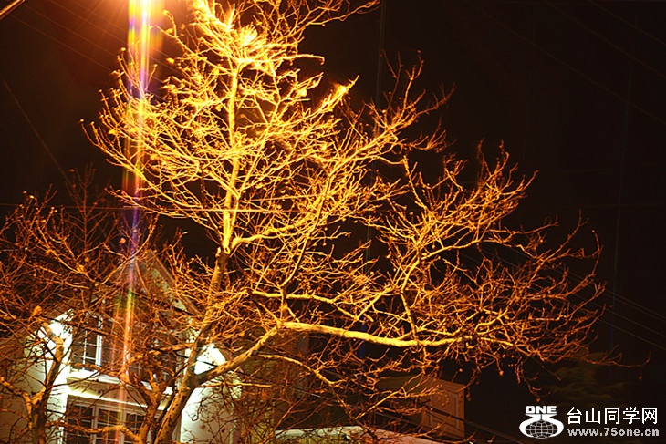 DSC_7150_.jpg