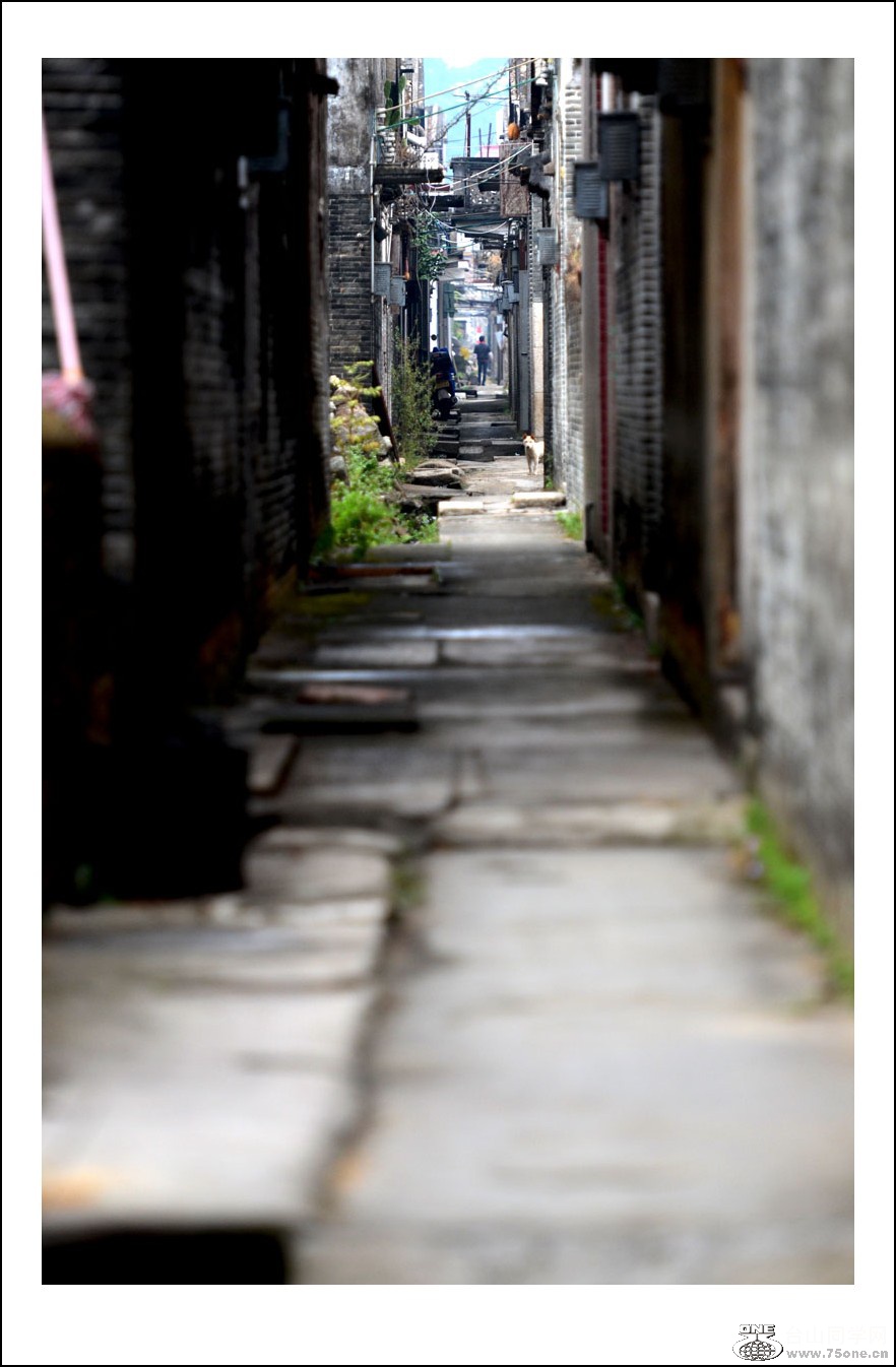 DSC_2199_conew1.jpg