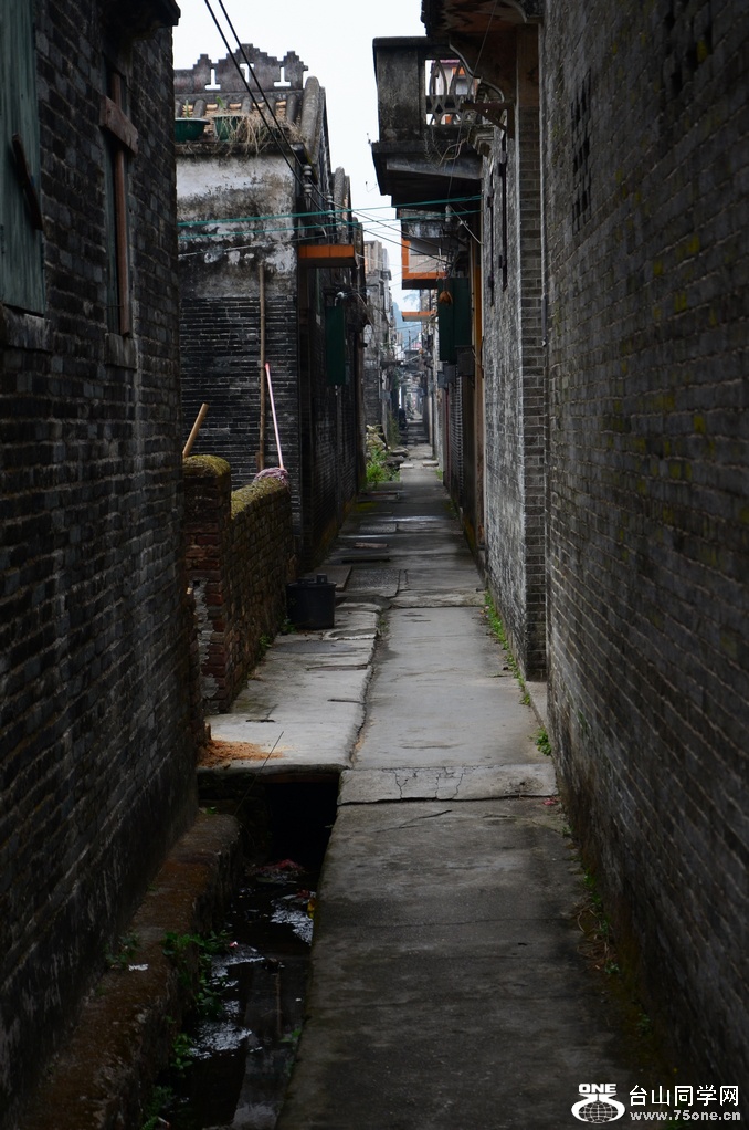 DSC_0535.JPG