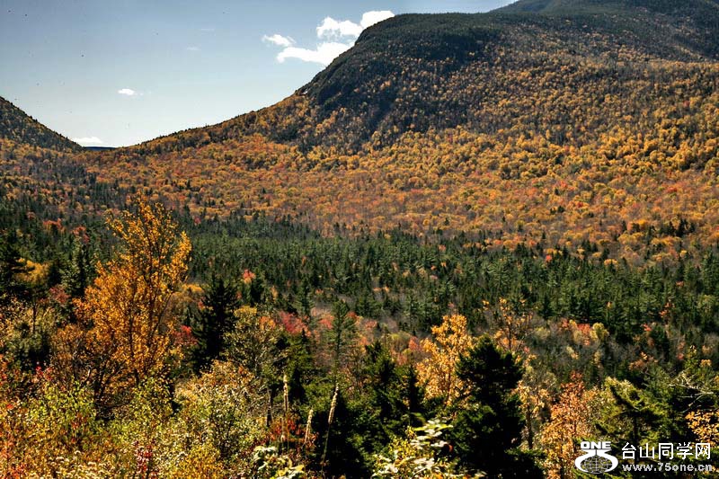 2014_10_10 1001.jpg