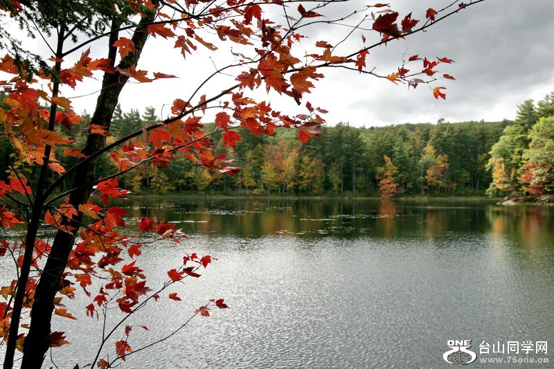 2014_10_07 1005.jpg