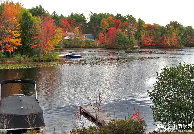 2014_10_07 1003.jpg