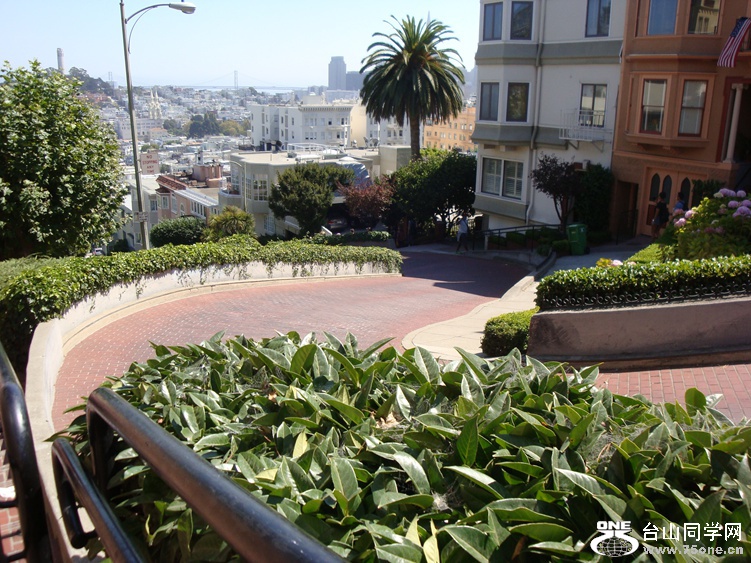 DSC04296_.jpg