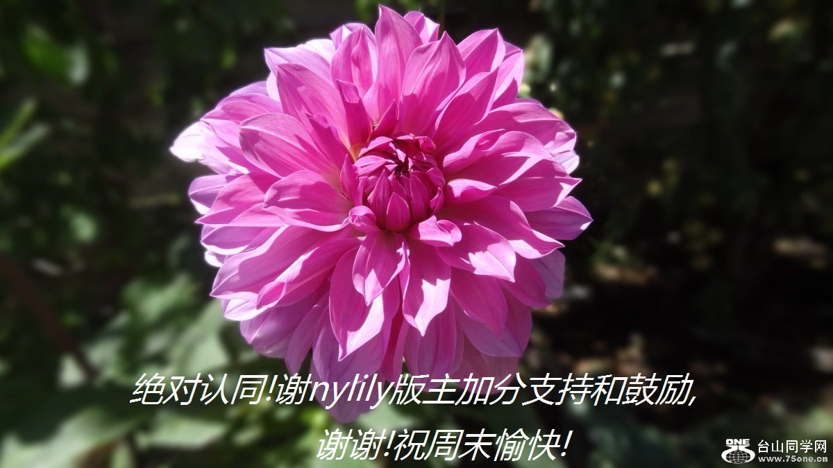 ͬ!лnylilyӷֺ֧͹,лл!ףĩ!.jpg