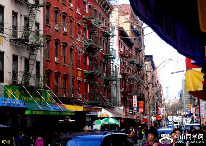 DSC04331a_1.jpg