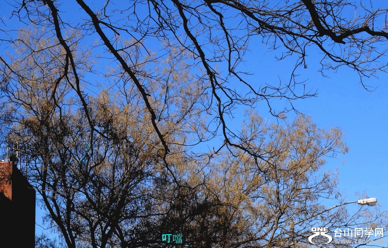 DSC04849a_1.jpg