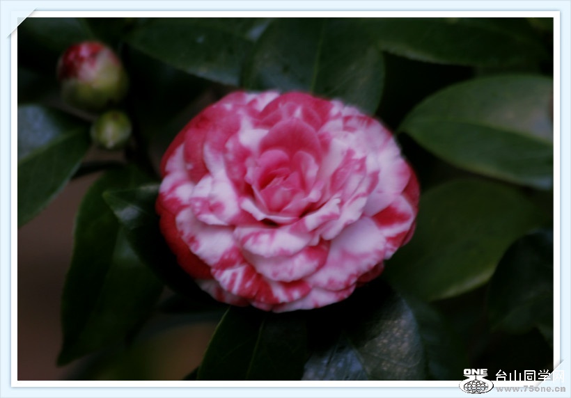 _MG_4588_meitu_16.jpg