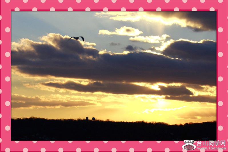 _MG_3151_meitu_7.jpg