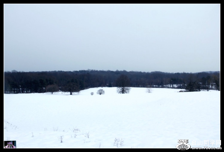 _MG_5012.jpg