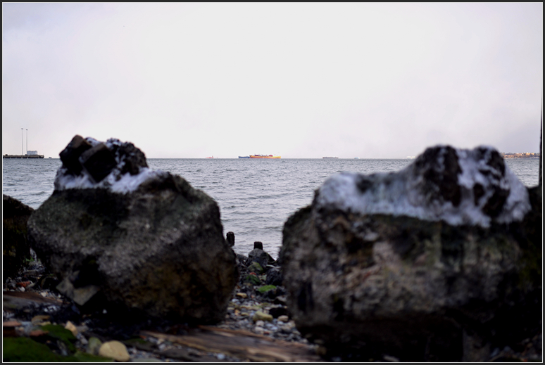 DSC_4101.jpg