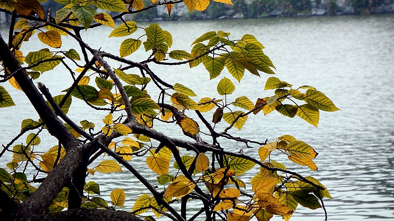DSCF0323.jpg