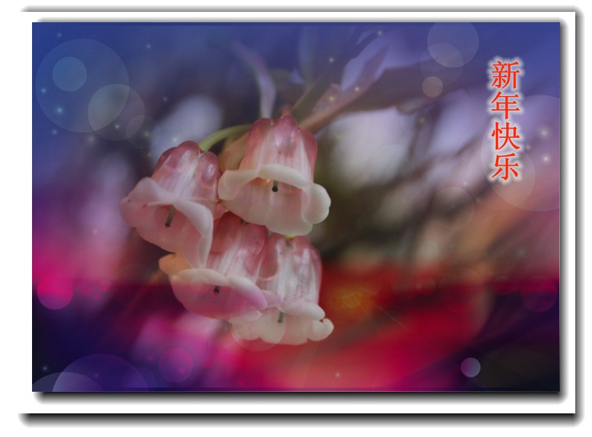 IMG_5570_conew2_.jpg