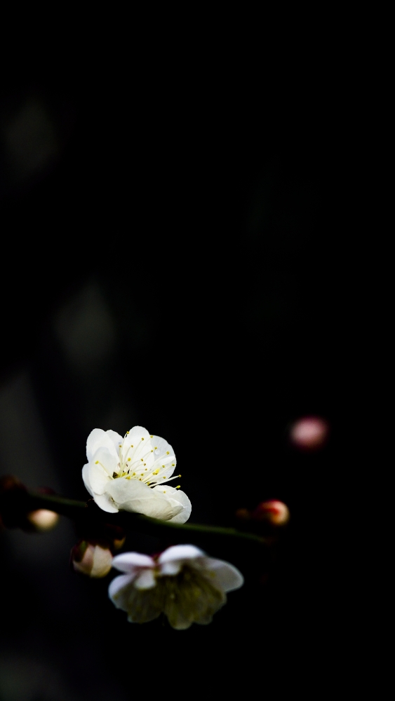 _DSC2848_01.JPG