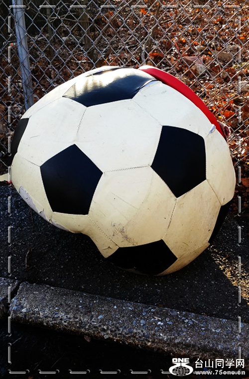 20150113_151959.jpg