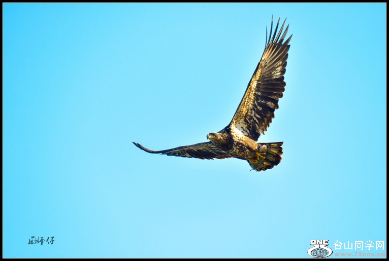 DSC_0567b.jpg