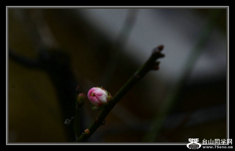 DSC_3248_1.JPG