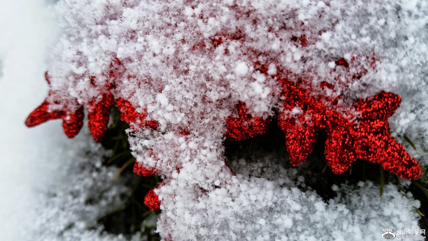 20150109_104716[2].jpg