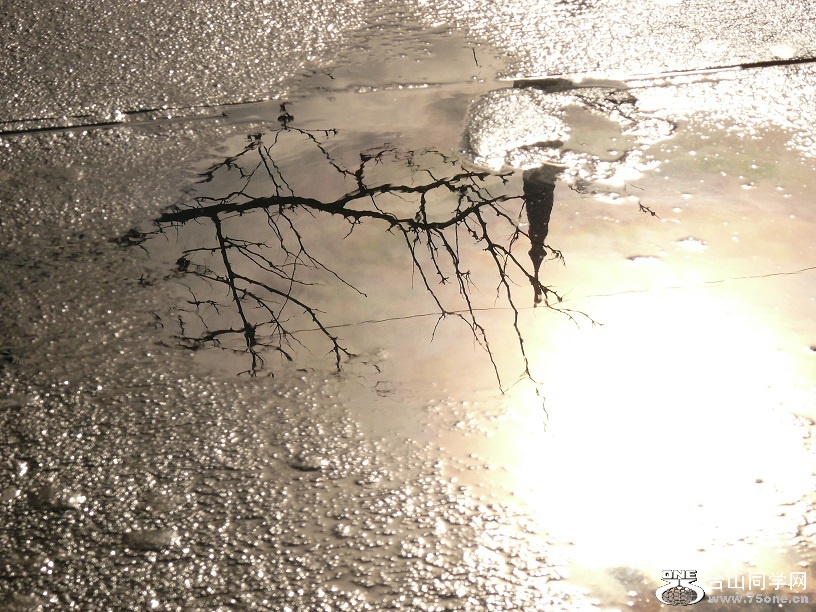 L2050965.JPG