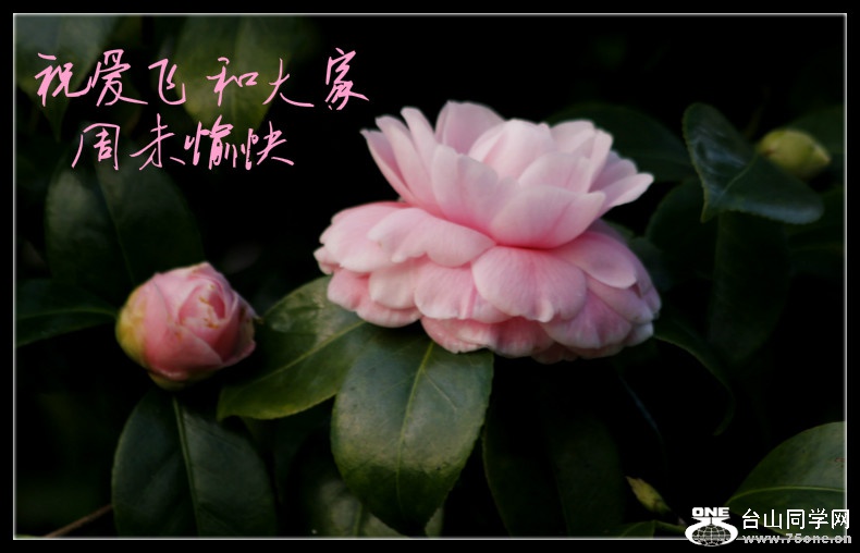 _MG_4710_meitu_4.jpg