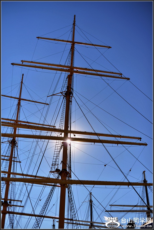 DSC_3973.jpg