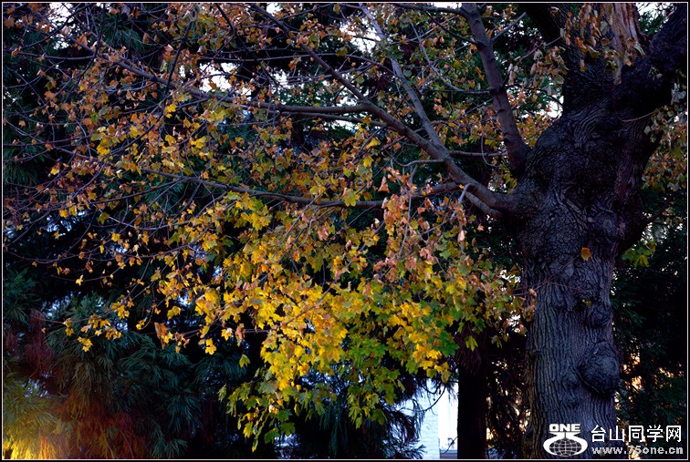 DSC_1692.jpg