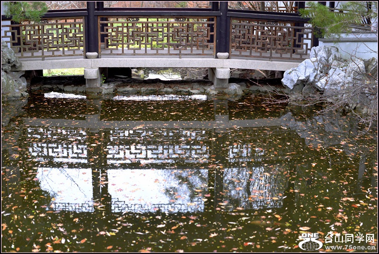 DSC_1421.jpg