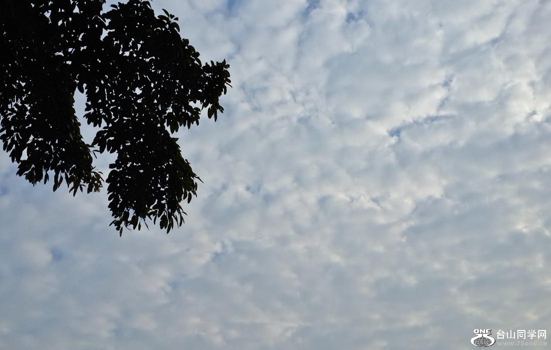 20150110_083844.jpg
