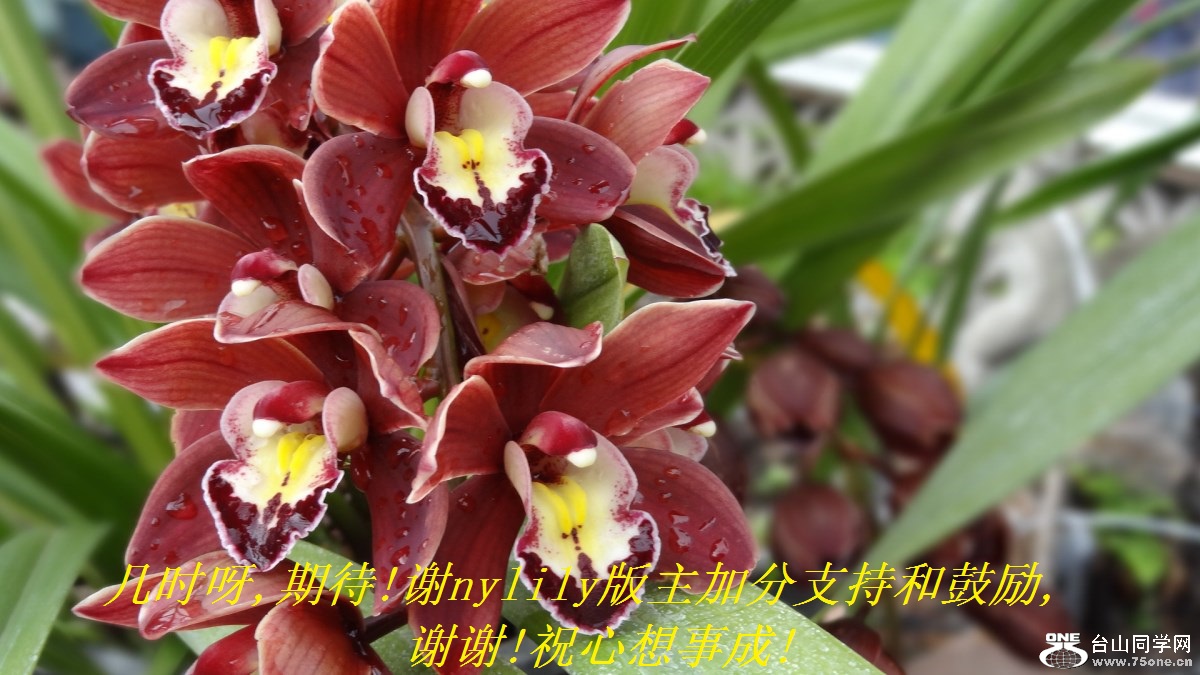 ʱѽ,ڴ!лnylilyӷֺ֧͹,лл!ף³!.jpg