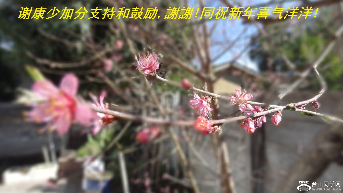 лټӷֺ֧͹,xx!ͬףϲ!.jpg