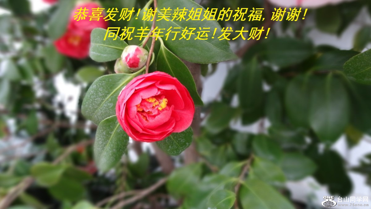 ϲ!лף,лл!ͬףк!!.jpg