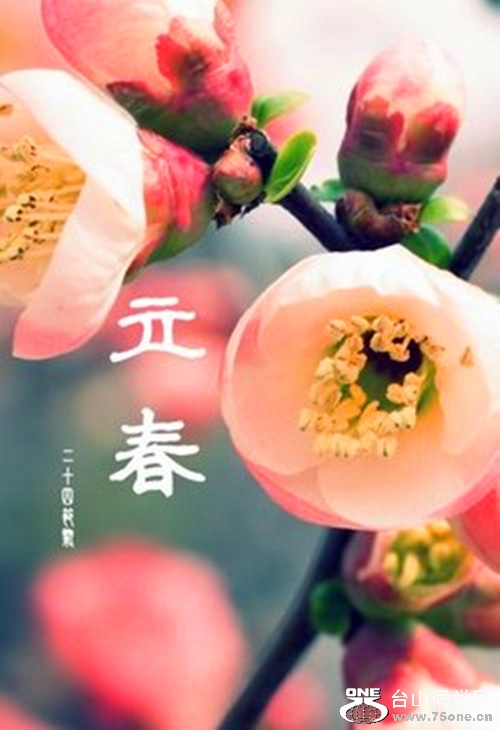 t010d44a06b8651fa2c_.jpg