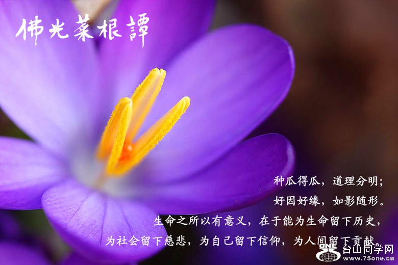 105632fz1d77o1ffc1u36u_.jpg