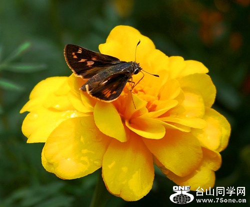 b8014a90f603738dbcead623b11bb051f819ec0b_.jpg