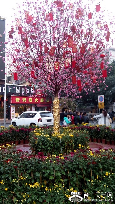 IMG_20150216_175203.jpg